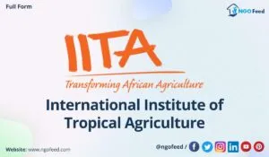 International Institute of Tropical Agriculture logo and name.